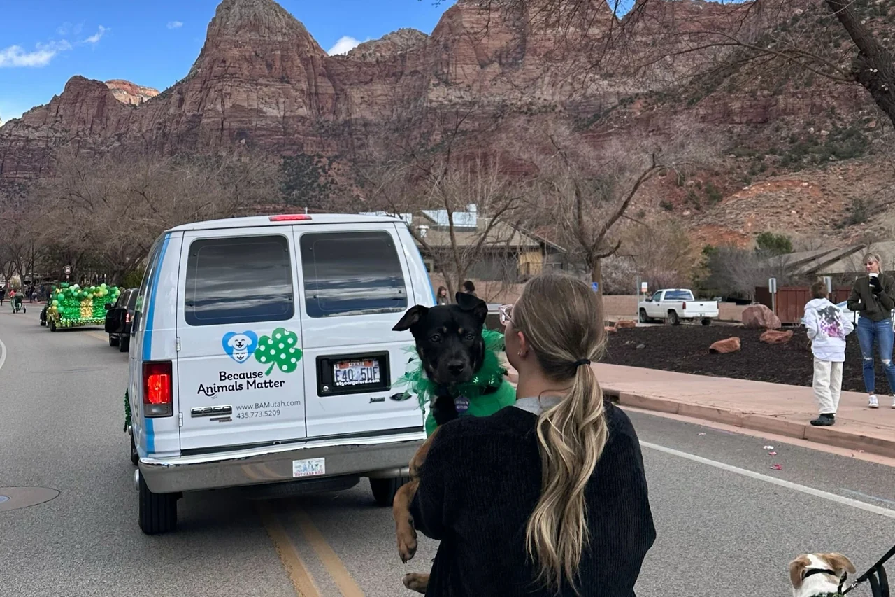 A handler holding a black dog beside the BAM van at a community parade