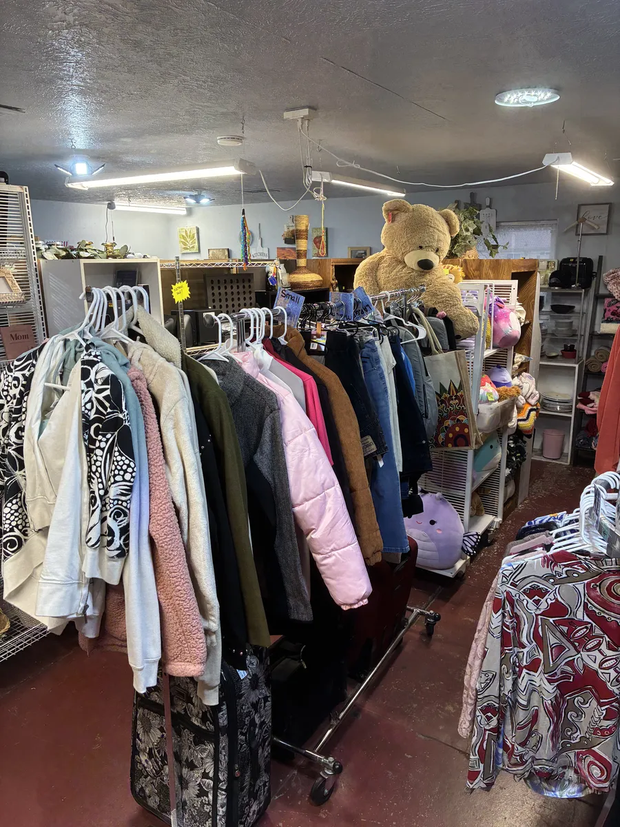 Clothing racks and a large teddy bear among household displays at BAM Thrift store